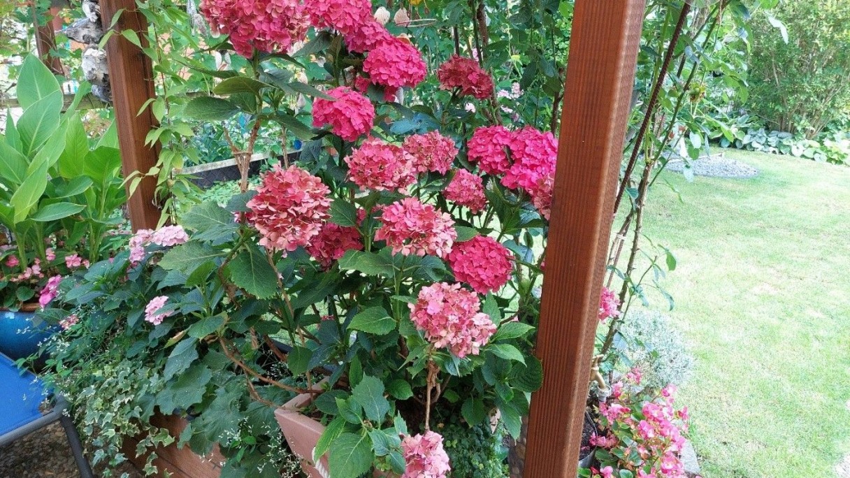 KGV Gute Nachbarschaft Nürnberg