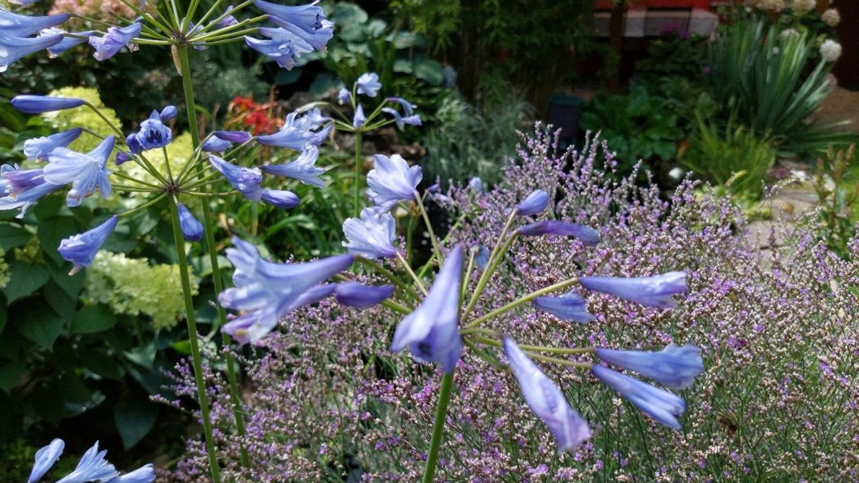 KGV Gute Nachbarschaft Nürnberg