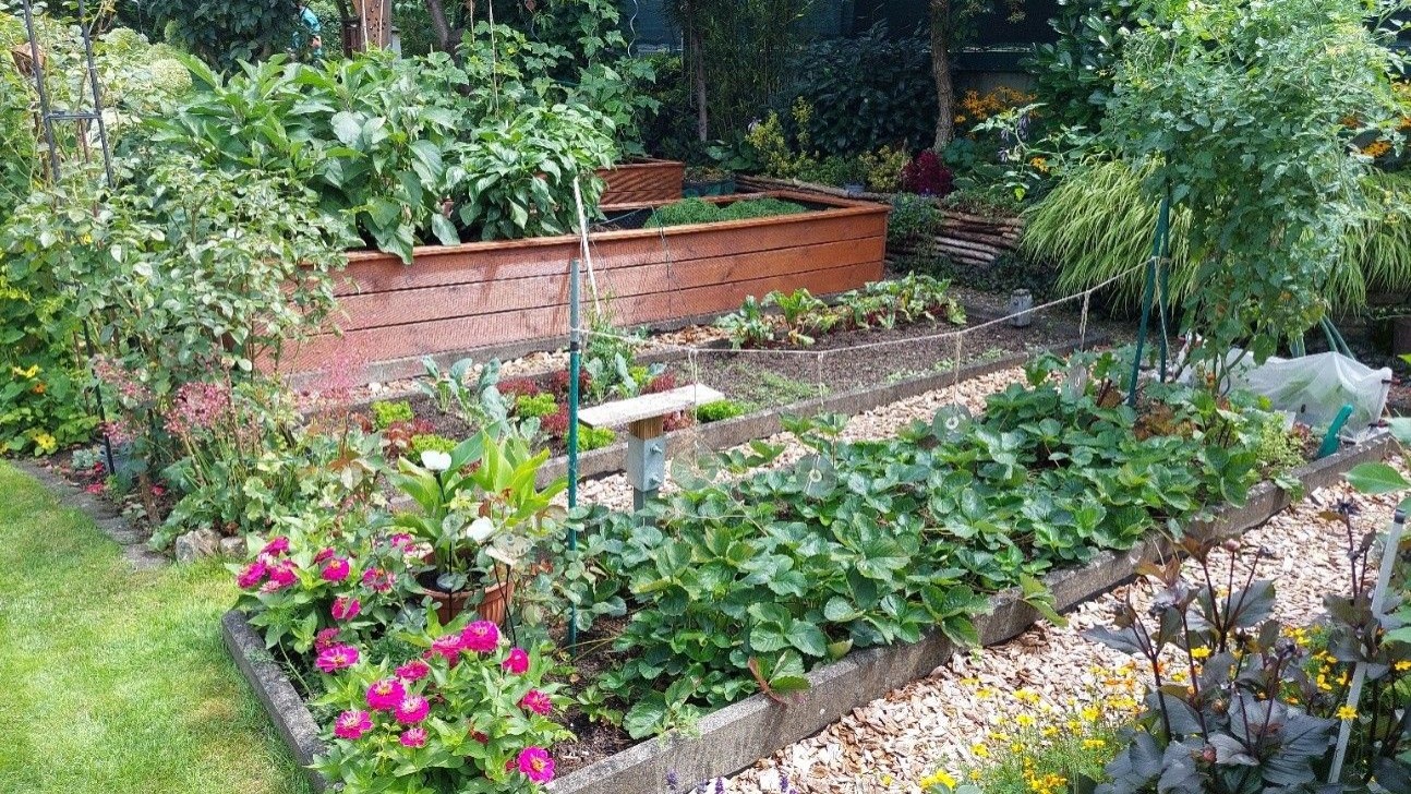 KGV Gute Nachbarschaft Nürnberg