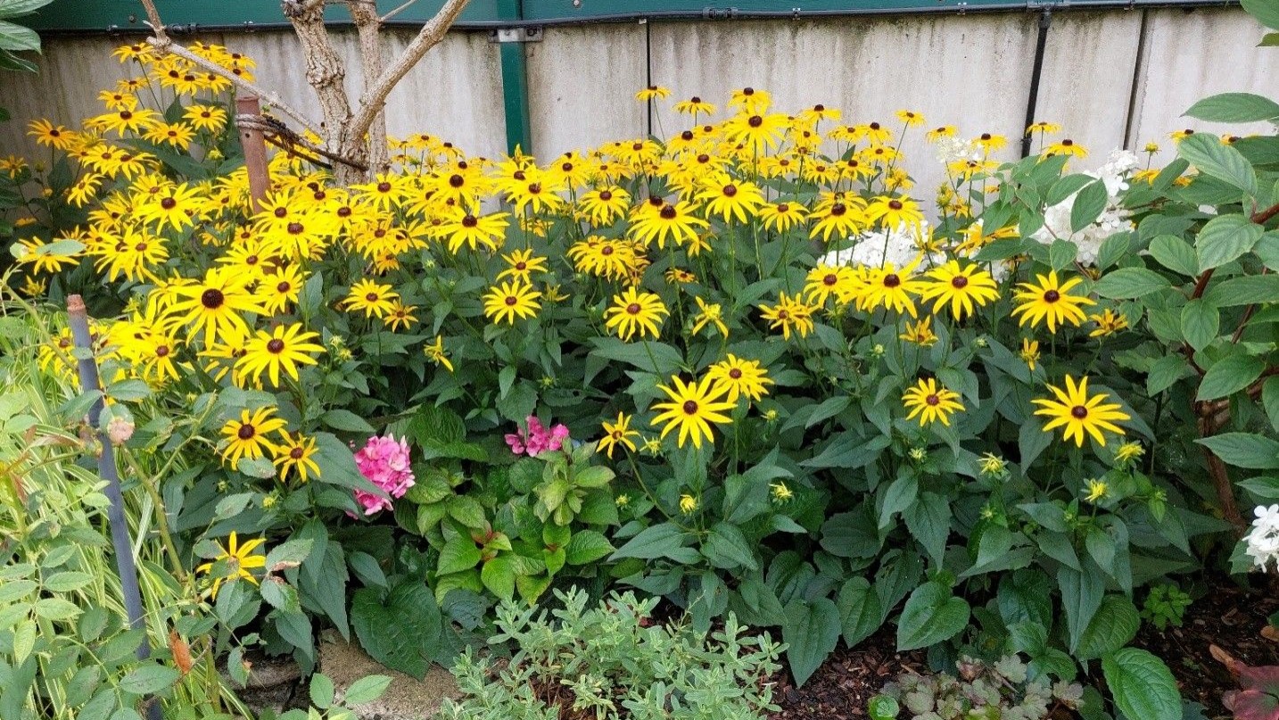 KGV Gute Nachbarschaft Nürnberg