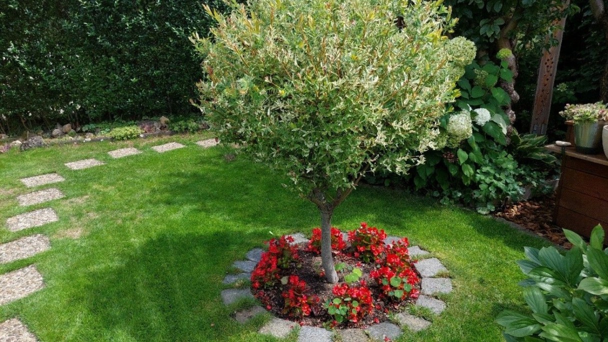 KGV Gute Nachbarschaft Nürnberg