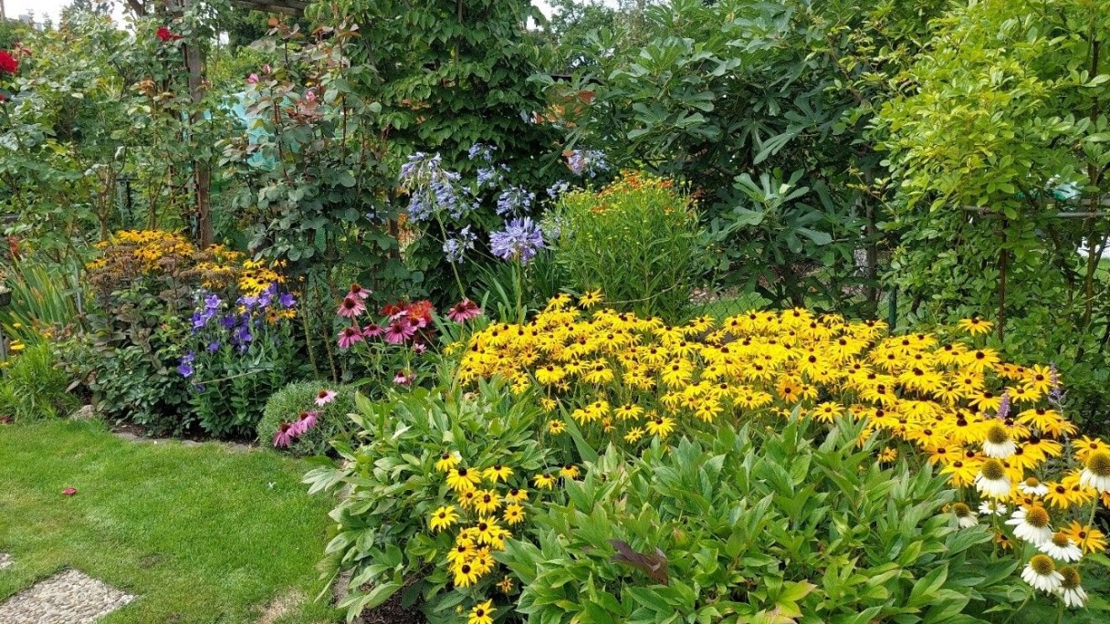 KGV Gute Nachbarschaft Nürnberg